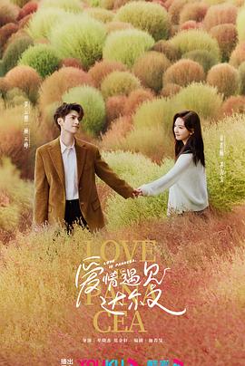 外贸网站优化哪家正规